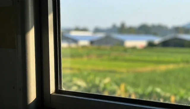 注重成本控制：技术外包项目管理关键点分析